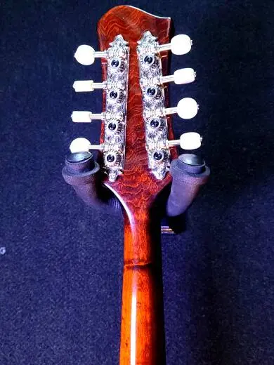 Eastman Guitars - ER-M 2